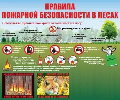 Онлайн-памятка «Берегите лес от пожара»